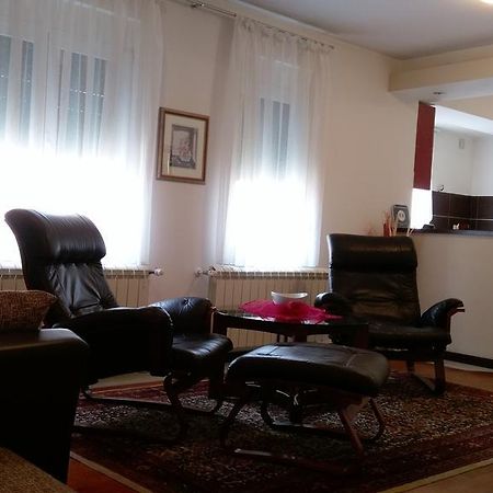 Apartment Krsmanovic Arandjelovac Εξωτερικό φωτογραφία